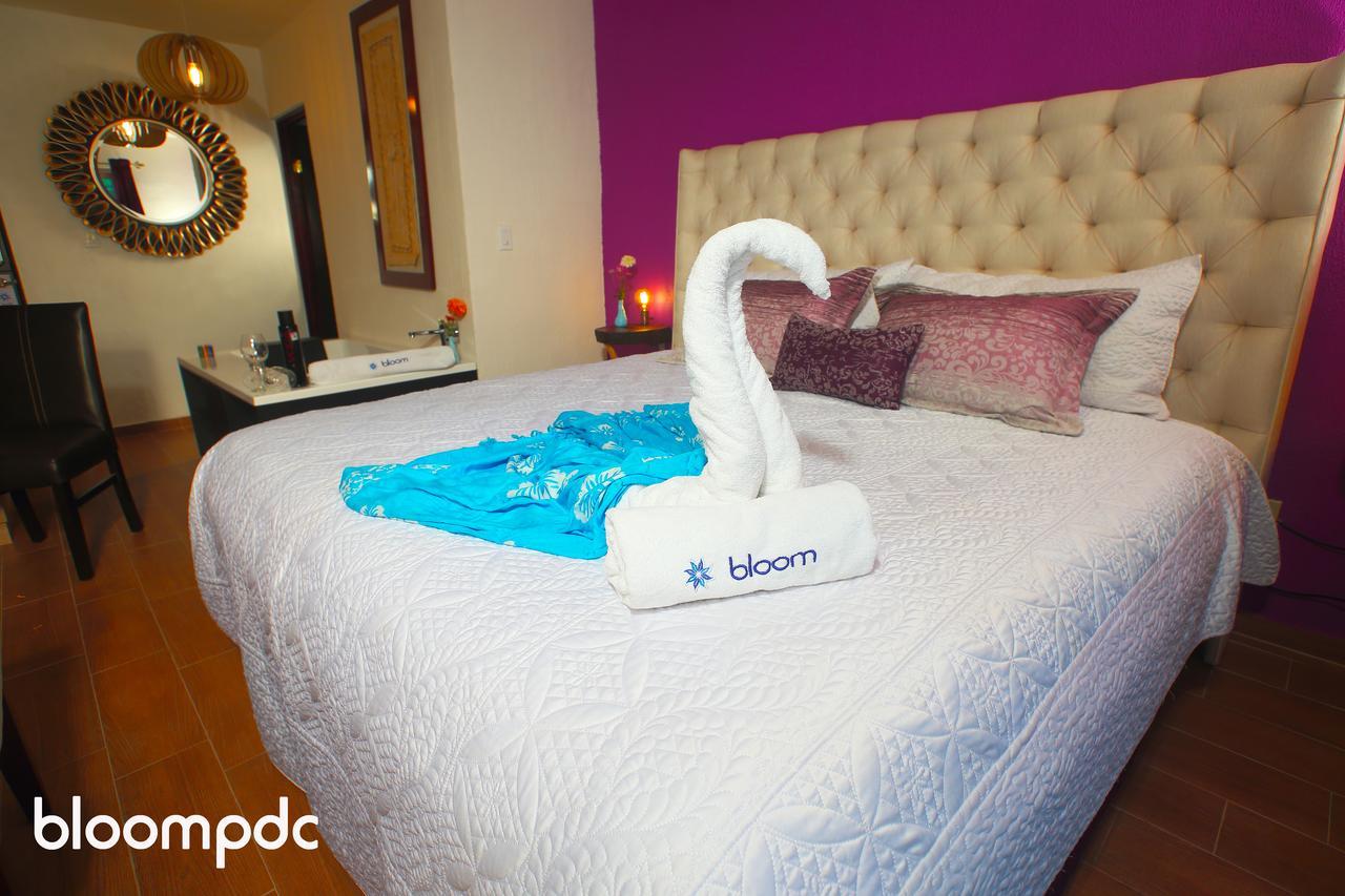 Bloom! Exclusive Boutique B&B (Adults Only) Playa del Carmen Luaran gambar